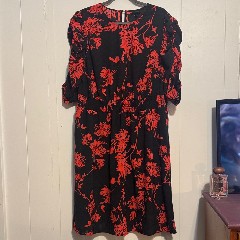 Floral Black and Red Dress Who What Wear 2X